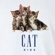 しろ