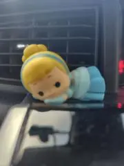 ぱちこの画像