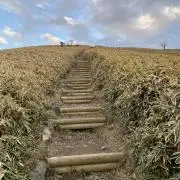 山ちゃんの画像