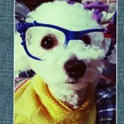 元気っこ。
