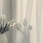 tmskの画像