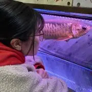 さにあ