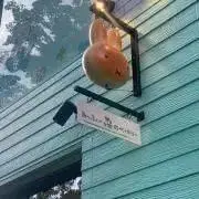 あおの画像