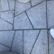りさ