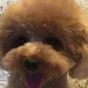かんちゃん