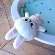 もちくま •ᴥ• 衣類大整理中‼︎の画像