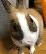 すずきのばいく(プロフ必読)の画像