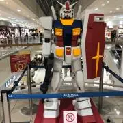 ゆた