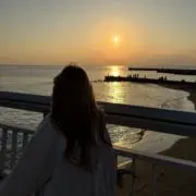 ぬこの画像