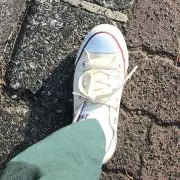ぽんぽろぽんの画像