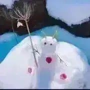 雪うさぎ✨プロフみてね(* .ˬ.) ✨の画像