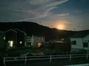 Fukayaの画像
