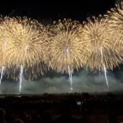 内側側副靱帯の画像