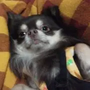 まろ工房の画像
