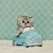 しー