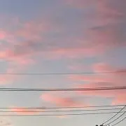にゃの画像