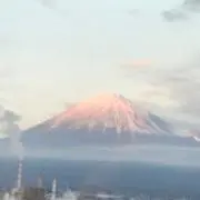ぷくちゃの画像