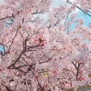 〈プロフ必読〉bellの画像