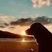 サクラサク☆