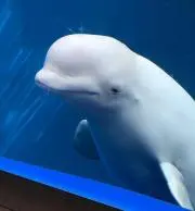 もりもりの画像