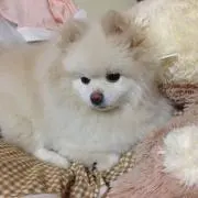 mukuの画像