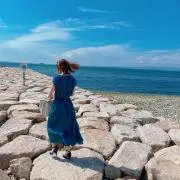 枝の画像