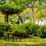 tantanの画像