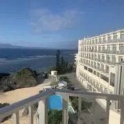 マヨの画像