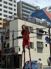猿の画像