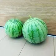 レモンティーの画像