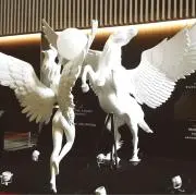 カブの画像