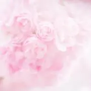 ちかの画像