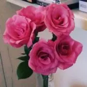 値下げ中☆Gorillasの画像