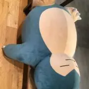 そらおの画像