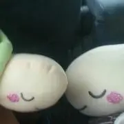 ひまわり