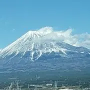 紫と白の画像