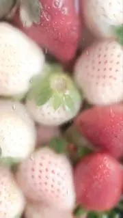 ゆ あ.