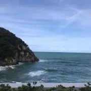 sakiの画像