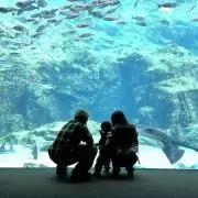 M&Rの画像