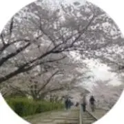 のん　猫がいます♪