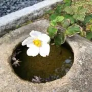 寝る子の画像