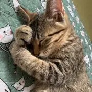 orange※プロフ必読※の画像