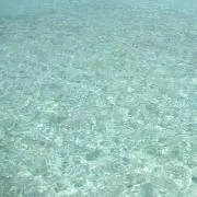 naの画像