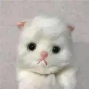 s.の画像