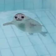 ♡の画像