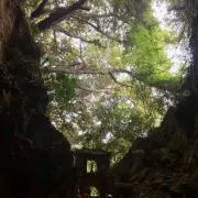 たくみんの画像