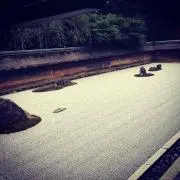 sayainesu