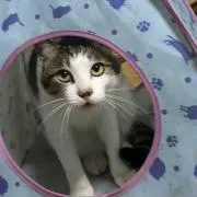 ゆり♡