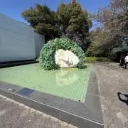 みのの画像