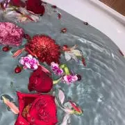 けめの画像